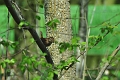 15 04 15_2978_edited-1